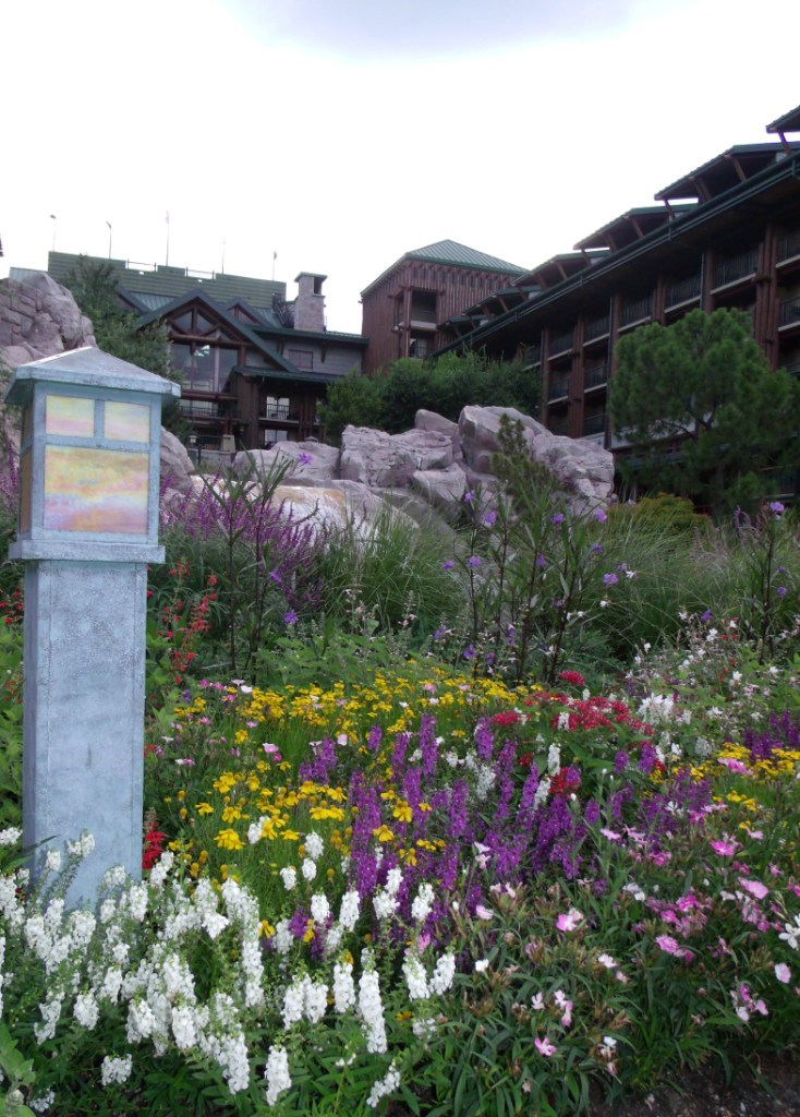Flowers at Disney's Wilderness Lodge