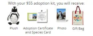 animal adoption kit