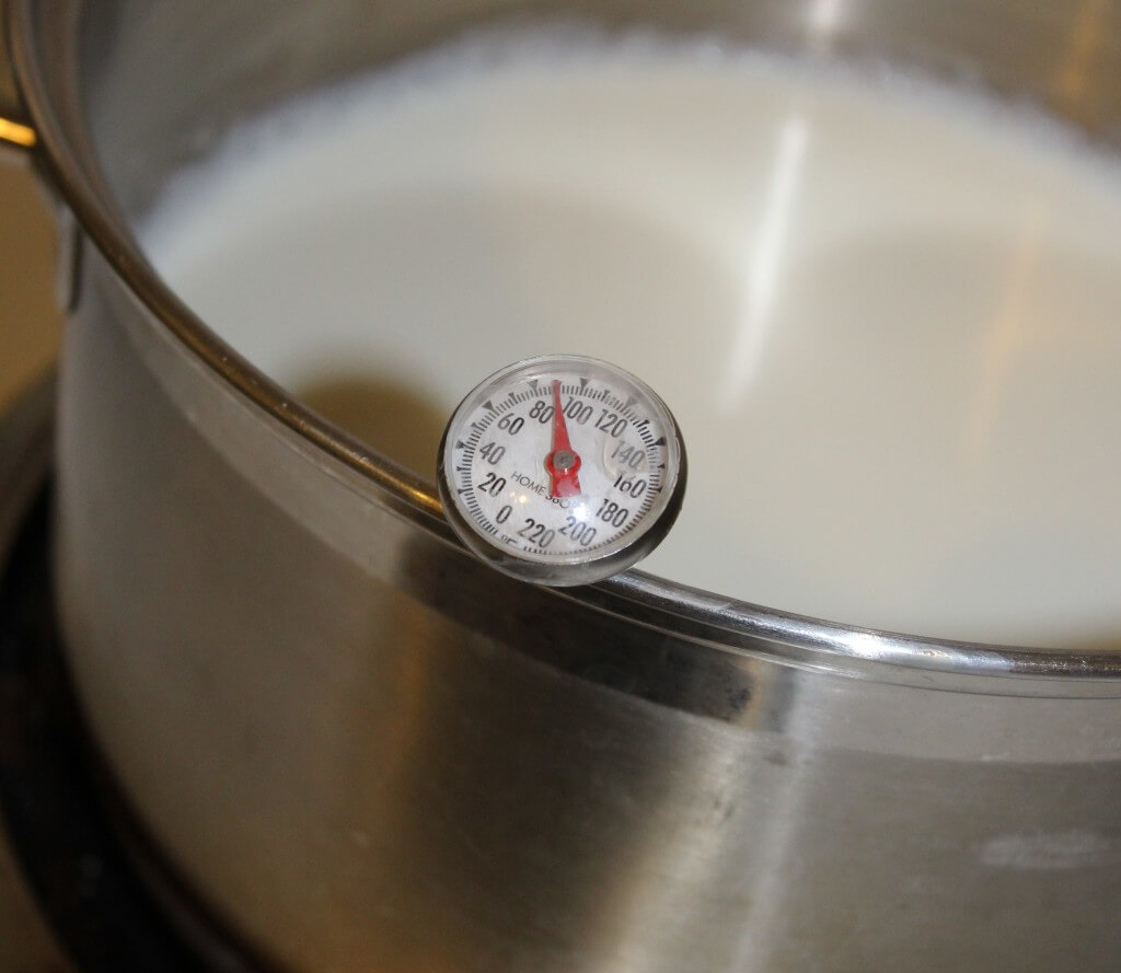 Milk less than 100 degrees