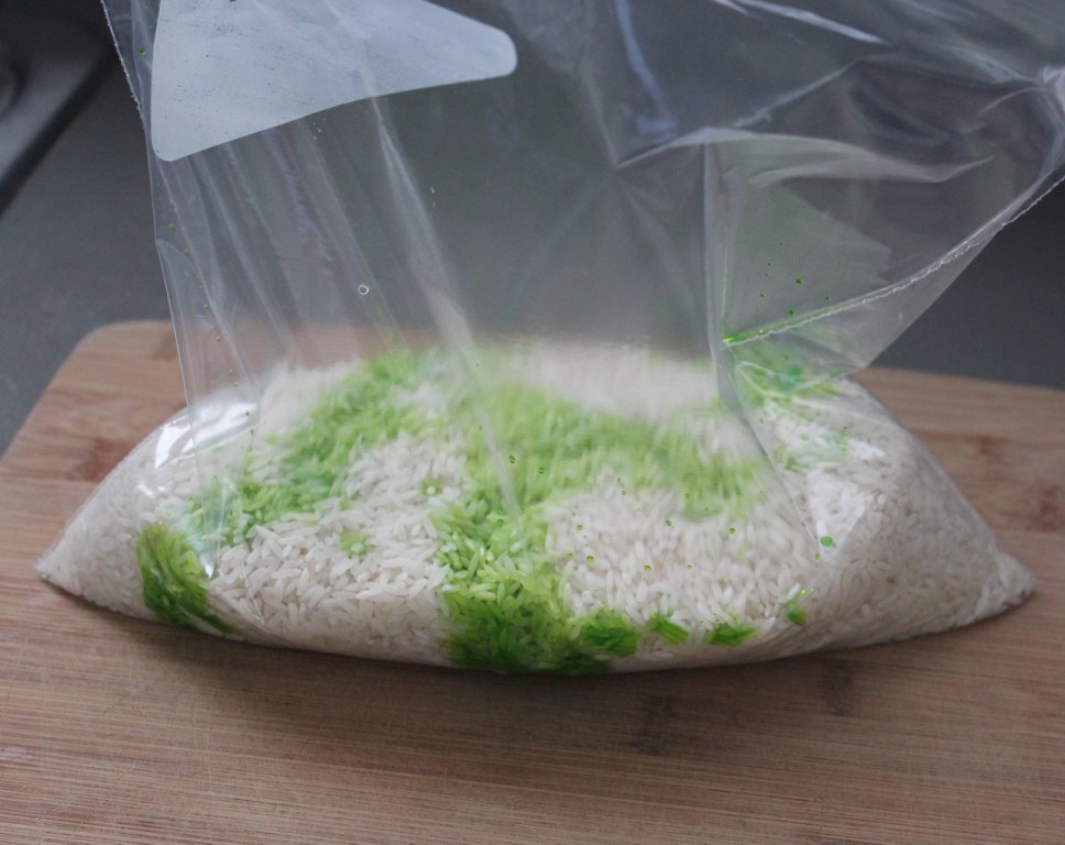 bag of rice with green food coloring and water mixture poured on top