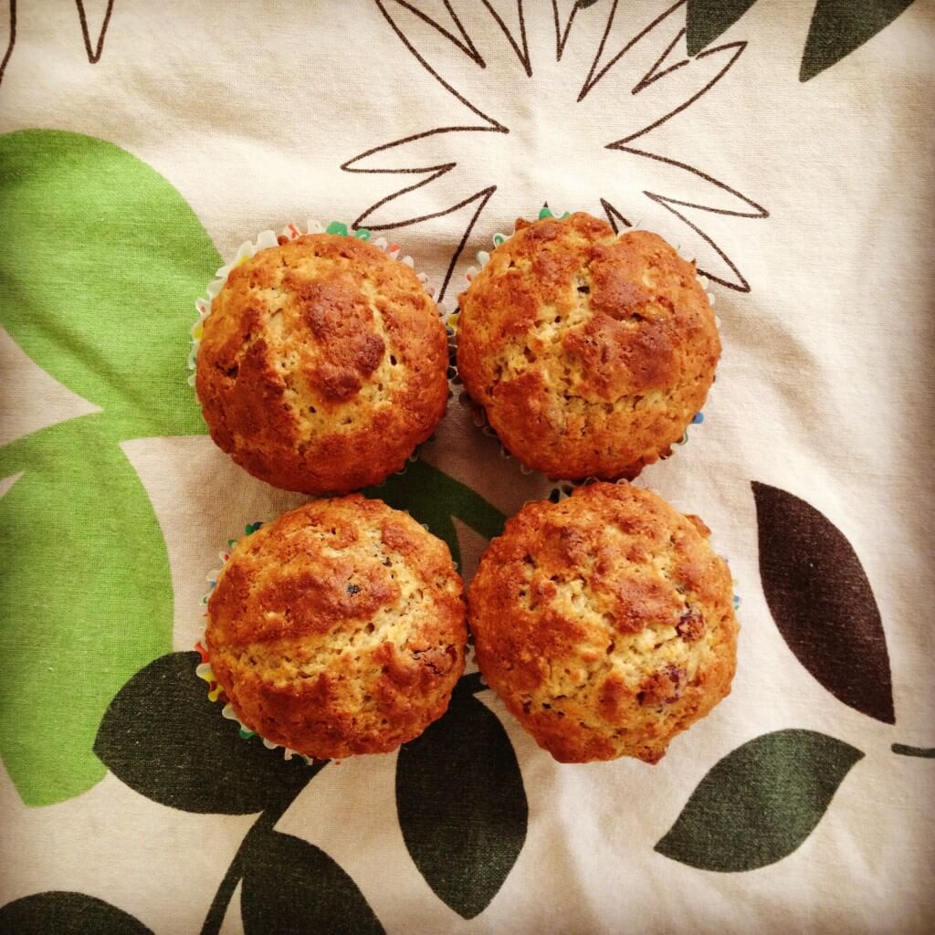 cranberry orange oatmeal muffins 