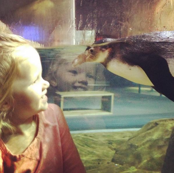 little girl watching a penguin 