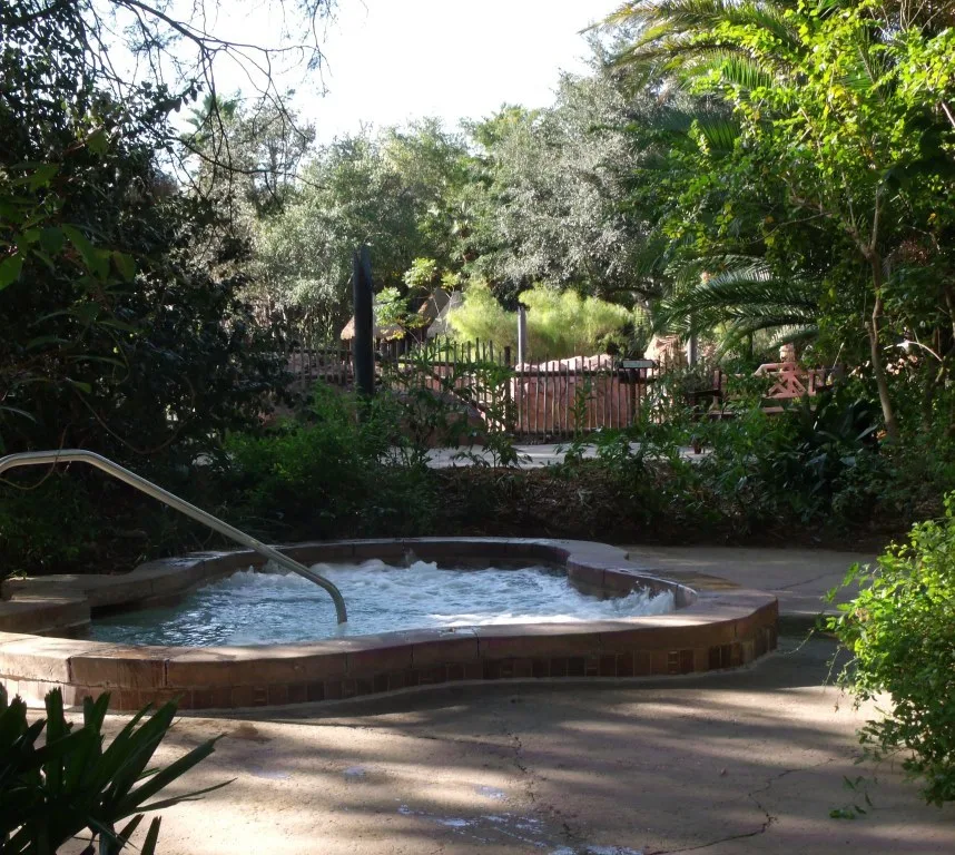 Animal Kingdom pool area hot tub at Jambo House