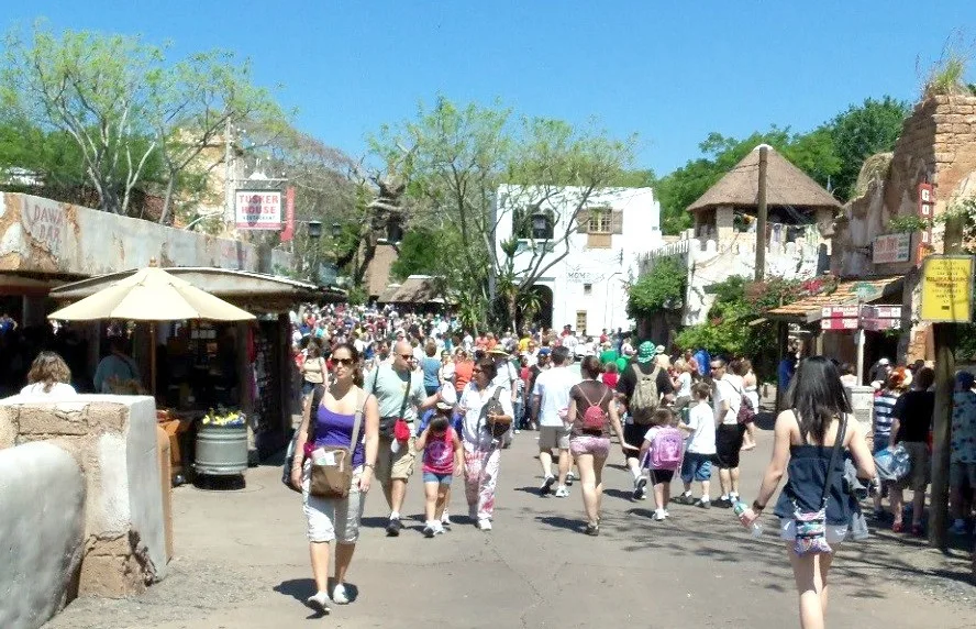 crowd of people in animal kingdom