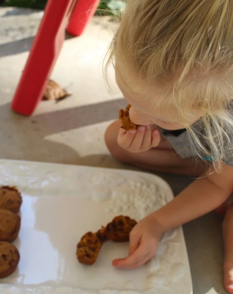 little girl eating Pumpkin Pecan Cinnamon Chip Muffins