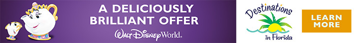 image of destinations in florida banner ad