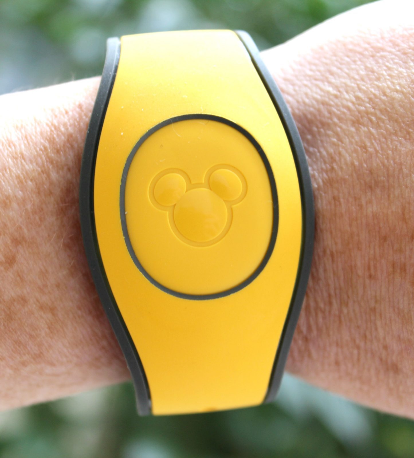 Your Complete Guide to MagicBands at Disney World