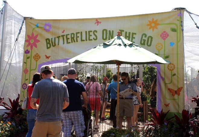 butterfly garden entrance
