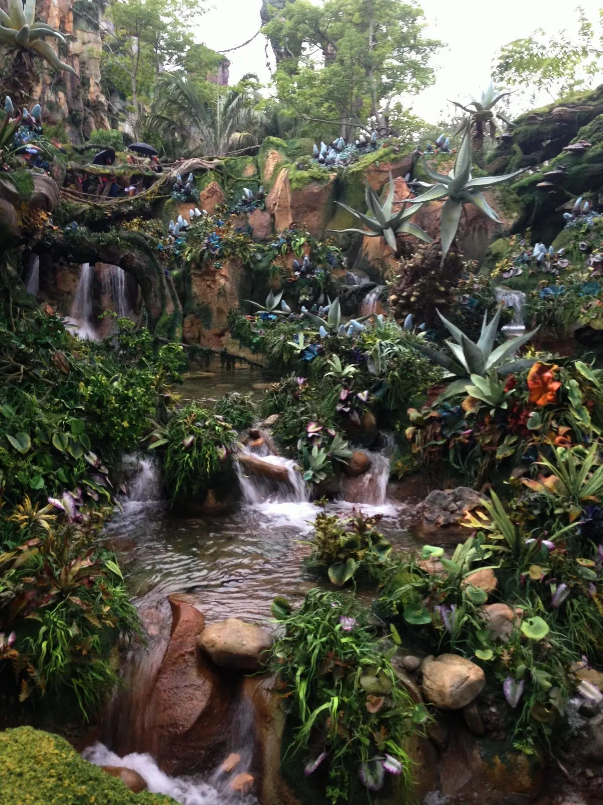 plants and waterfall in Pandora