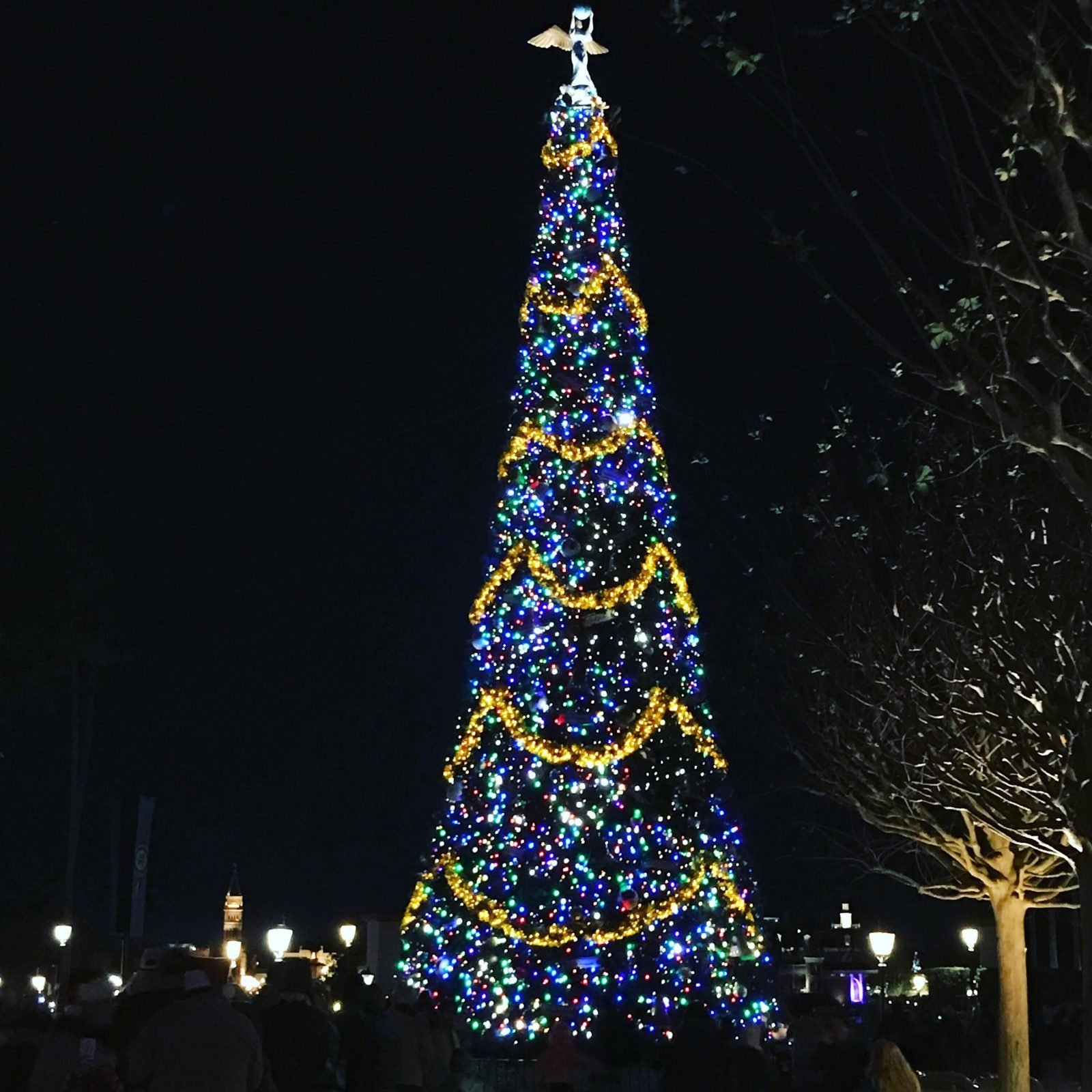Epcot's Candlelight Processional Dining Package + Tips! - The Frugal South