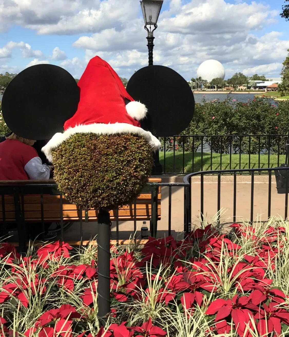 bush with Mickey Mouse ears and santa hat 