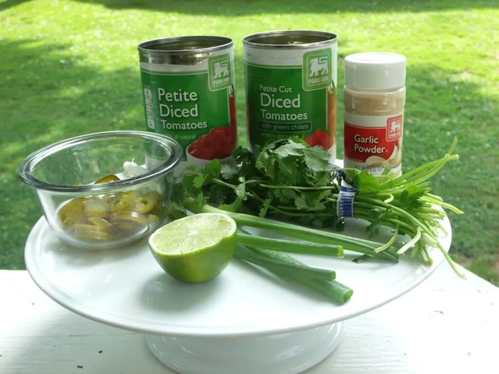 ingredients to make salsa