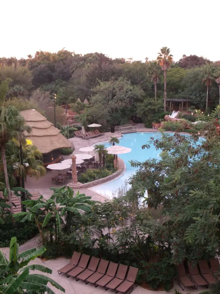 animal kingdom lodge resort pool 