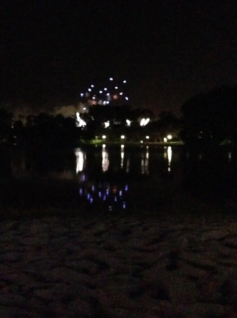 Epcot's Illuminations fireworks from the Martinique beach