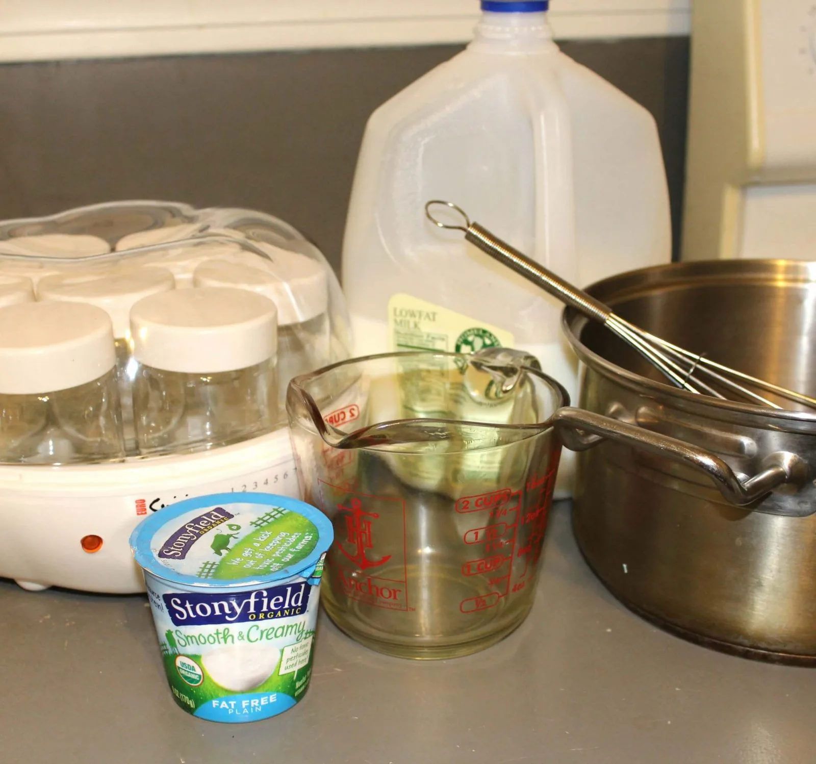 ingredients and supplies to make yogurt