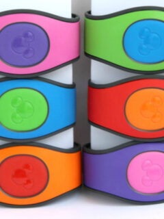 Six multi color magic bands
