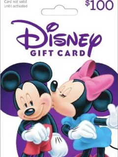 one hundred dollar Disney Gift Card with picture of MIckey Mouse kissing MIckey Mouse