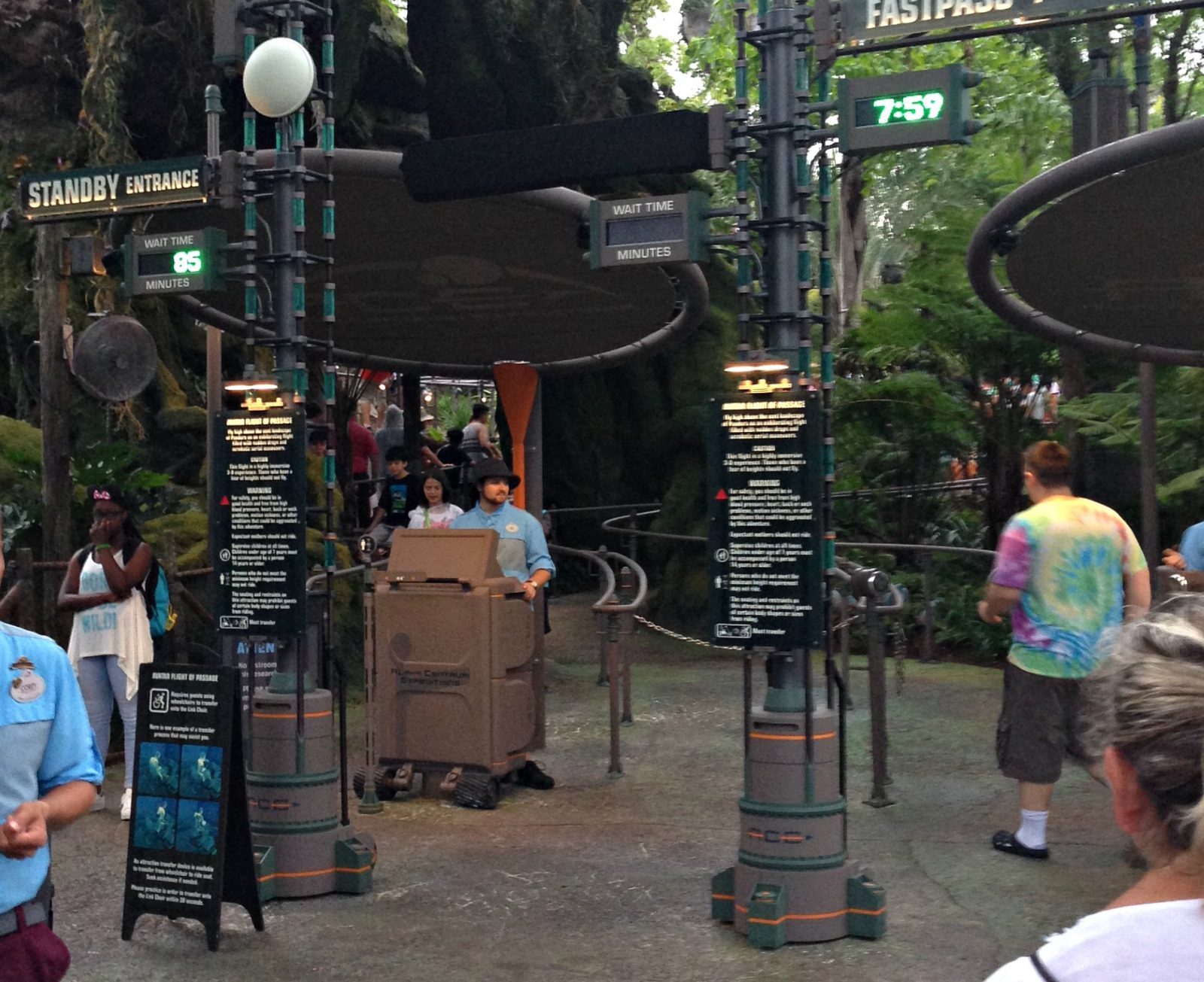 Entrance to Flight of Passage with an 85-minute wait at 8 pm