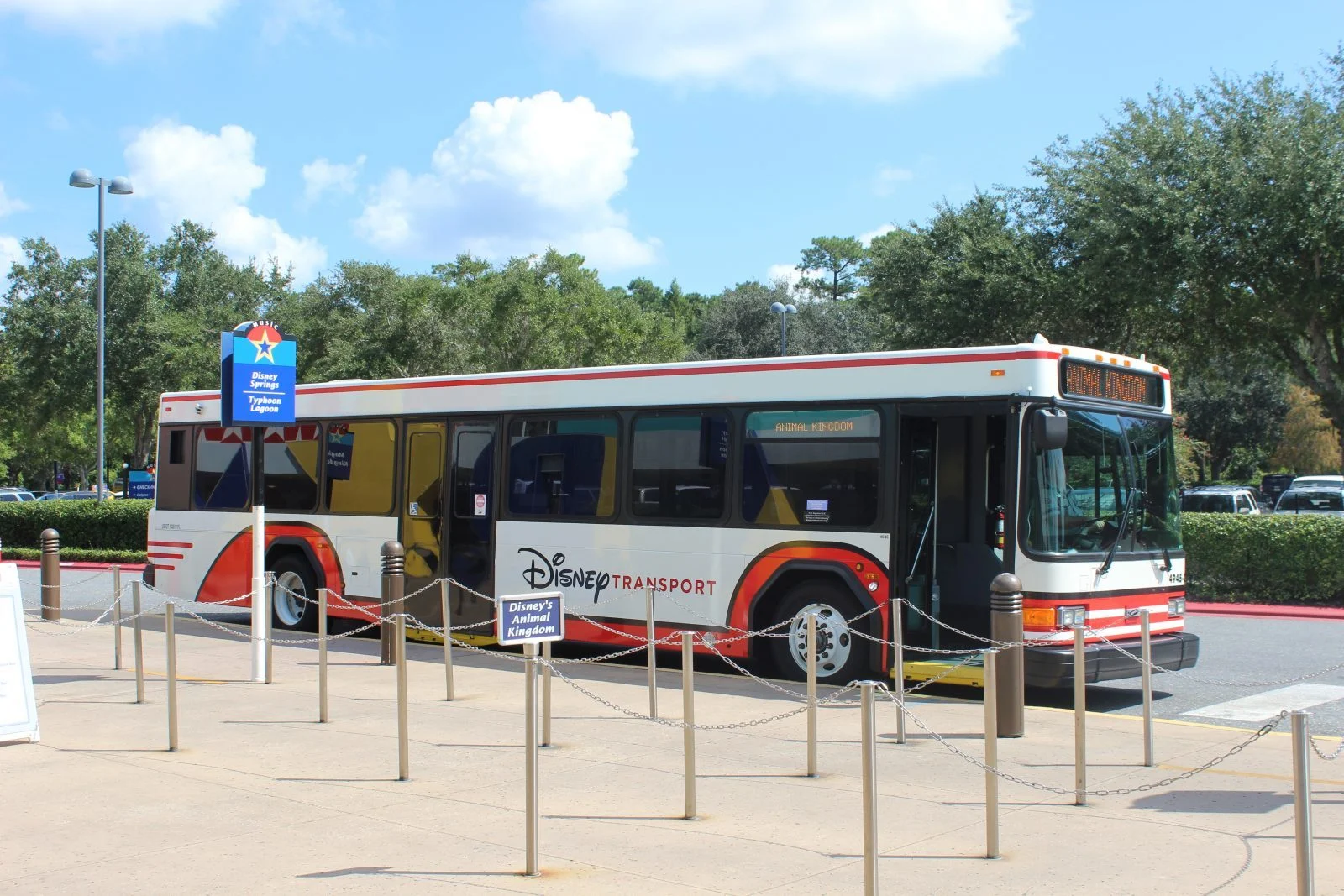 Disney Transport Bus