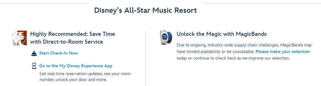 preorder magic bands