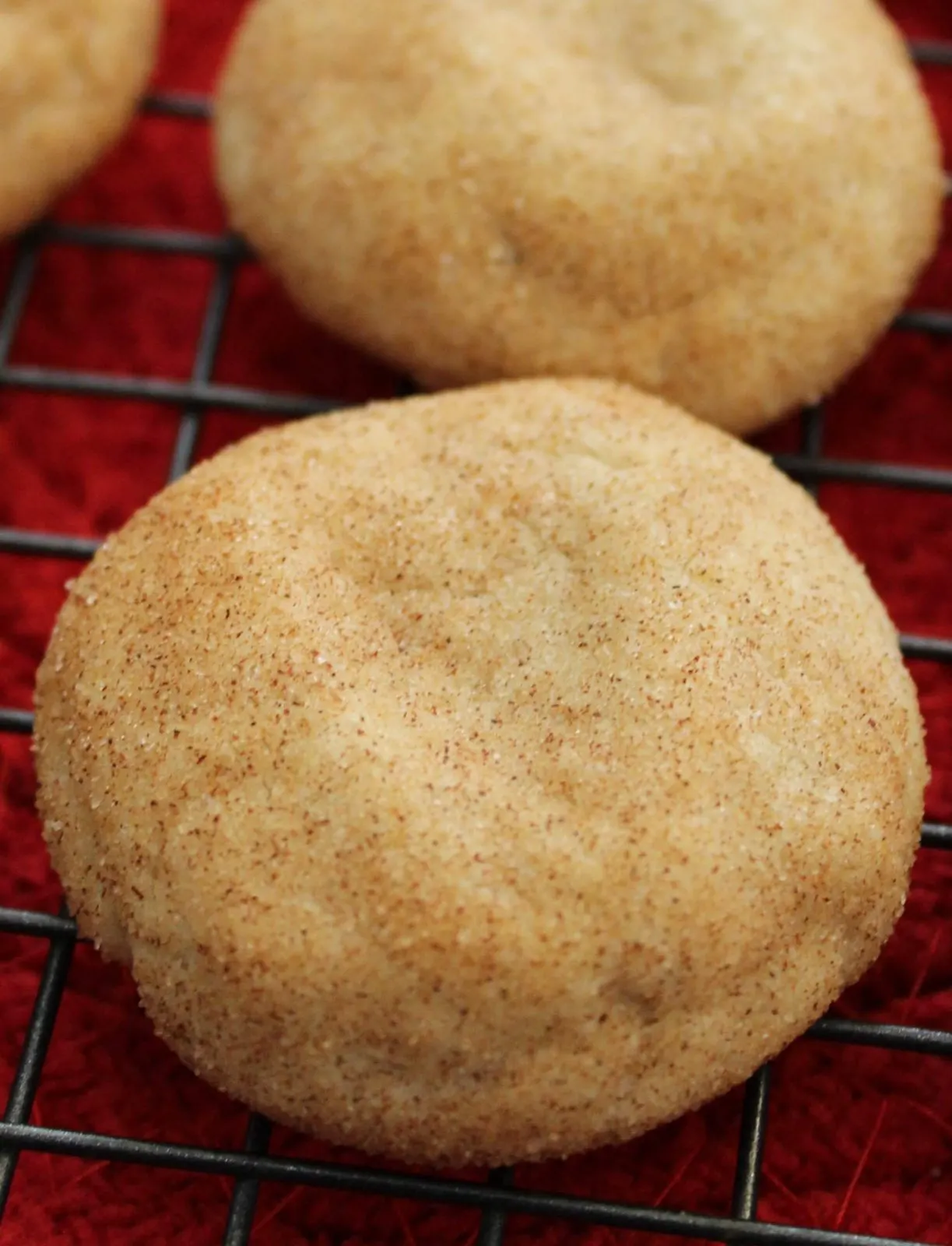cinnamon and sugar coated Snickerdoodle cookies