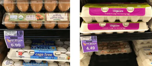 eggs at the store