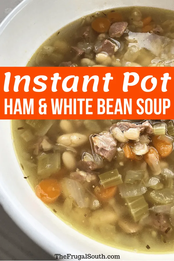 Instant Pot Ham and Bean Soup