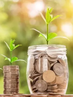 jar of coins and stack of coins with green plants coming out of tops