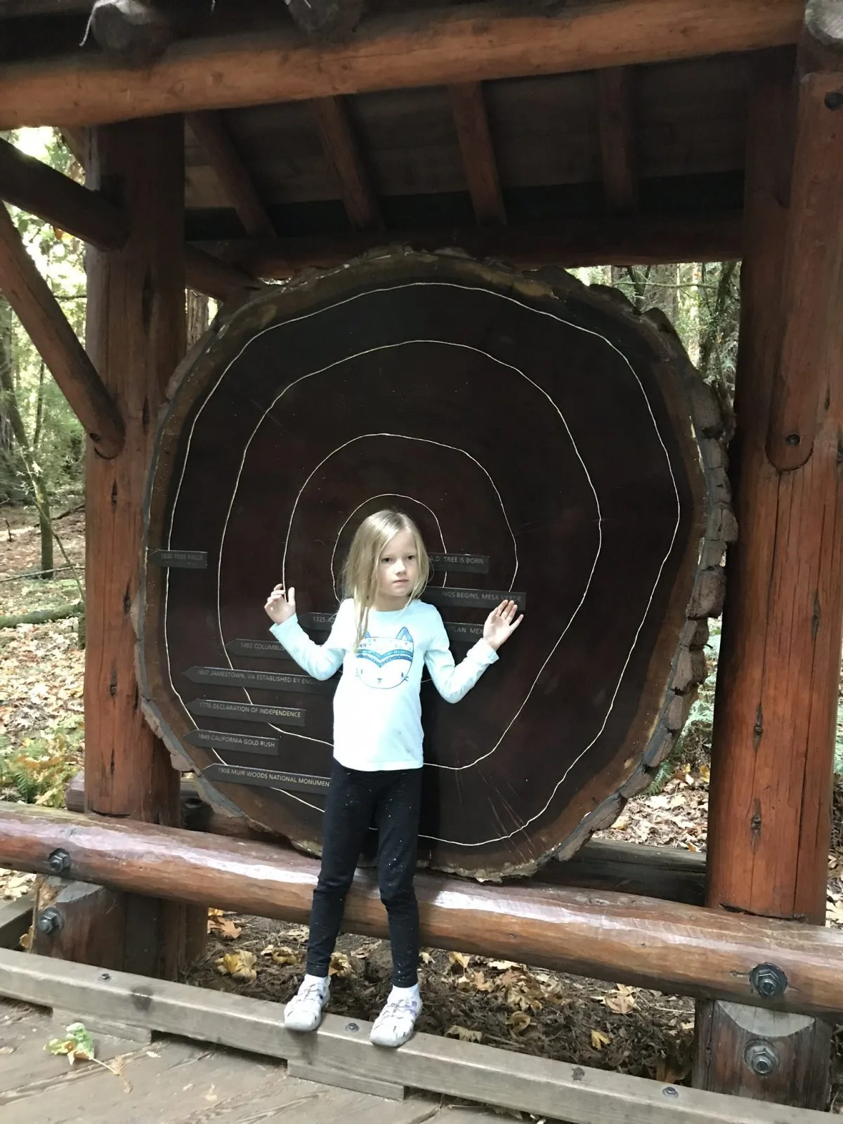 little girl standing in front of a tree ring