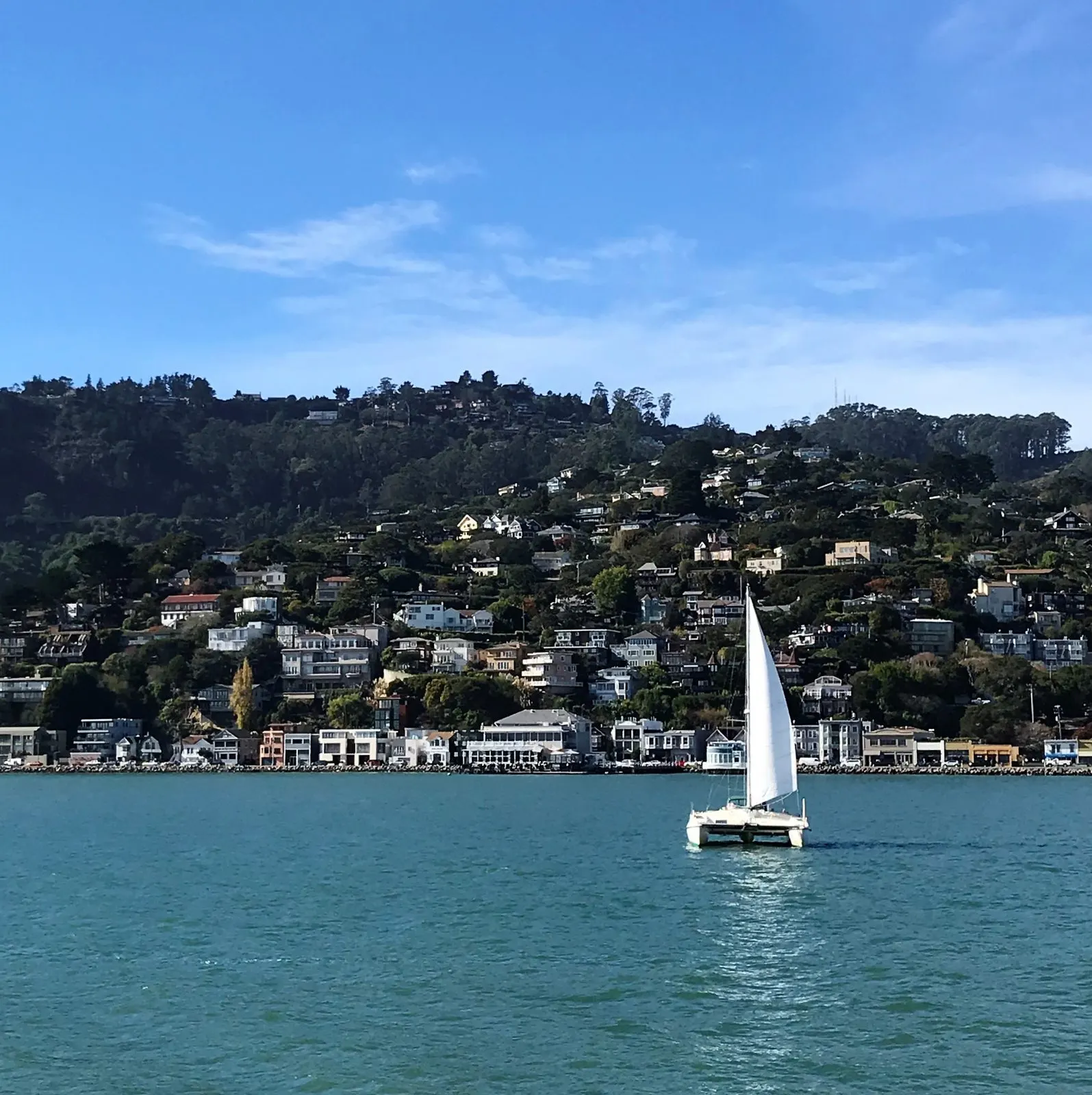 sausalito ca from the water