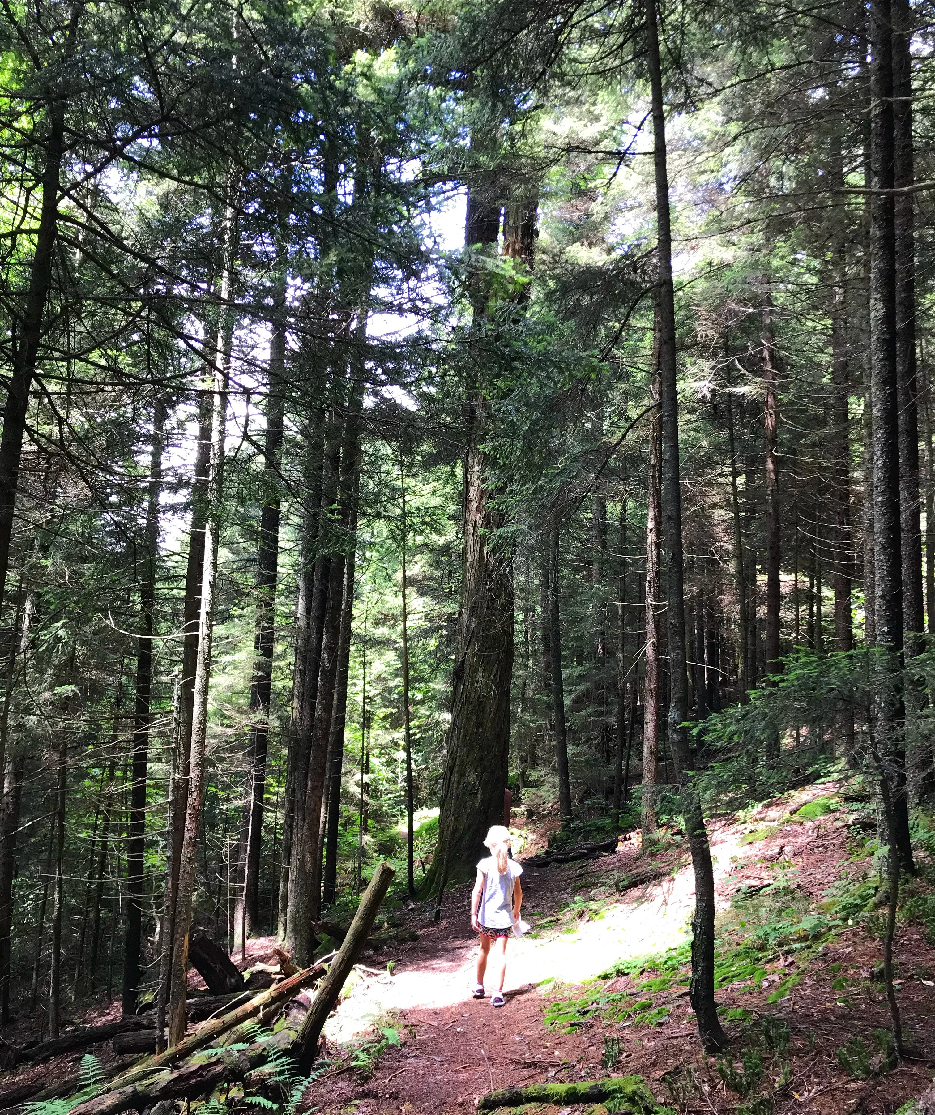 Girl hiking in Smoky Mountains - things to do in Pigeon Forge TN