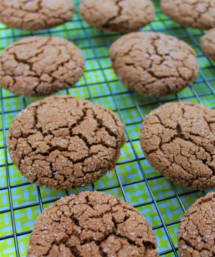 Easy Chocolate Cookies Without Butter Recipe