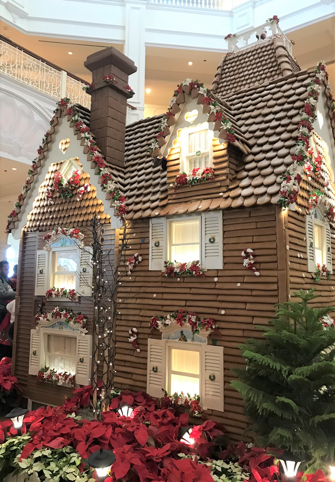 gingerbread house display