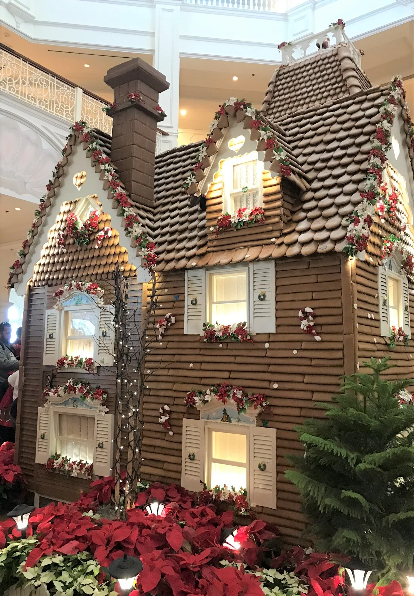 gingerbread house display