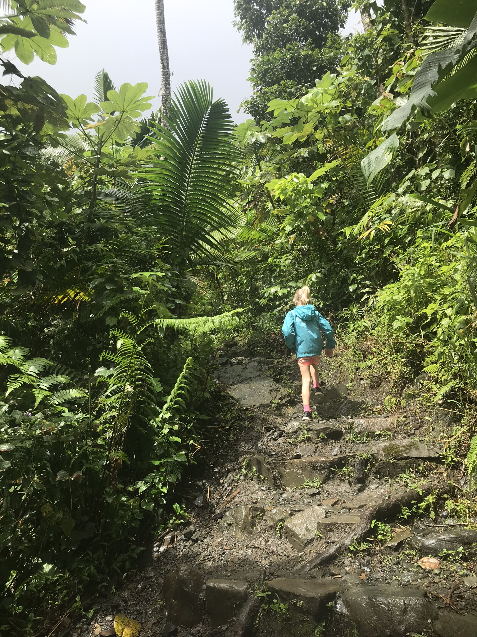girl hiking in el yunque in puerto rico with kids