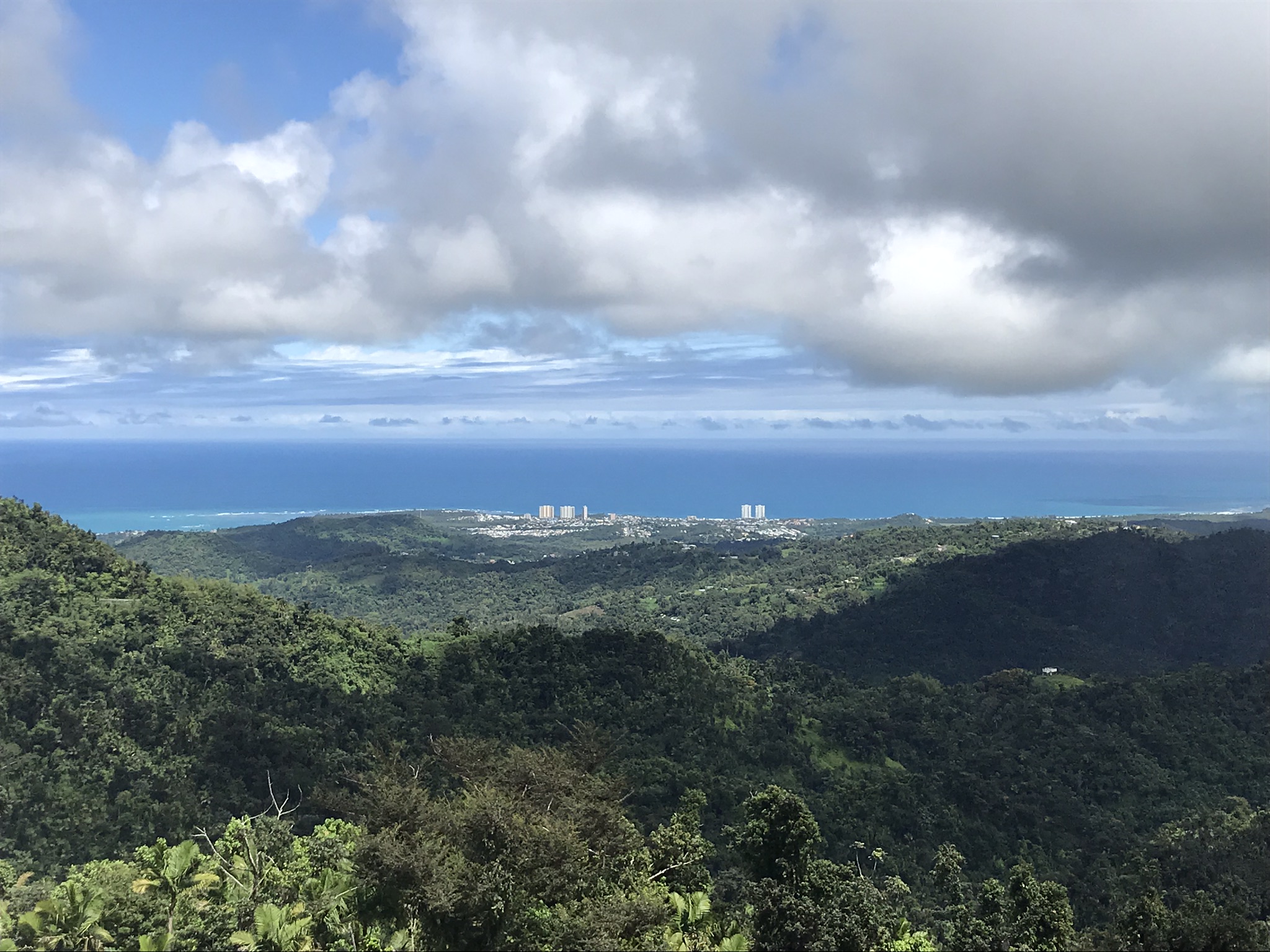 view from the top of tower of ocean and luquillo