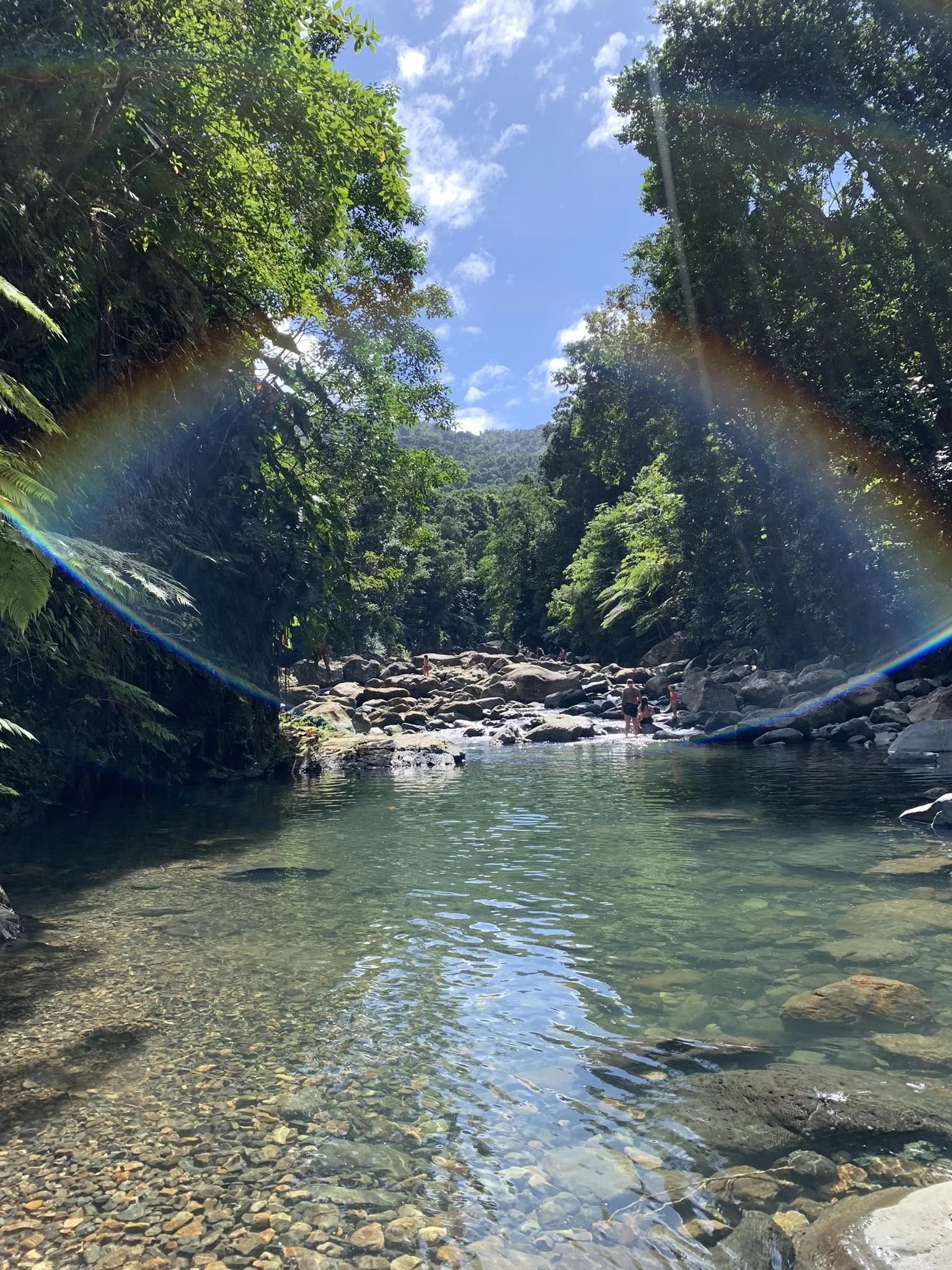 things to do in el yunque - hike to rio mameyes