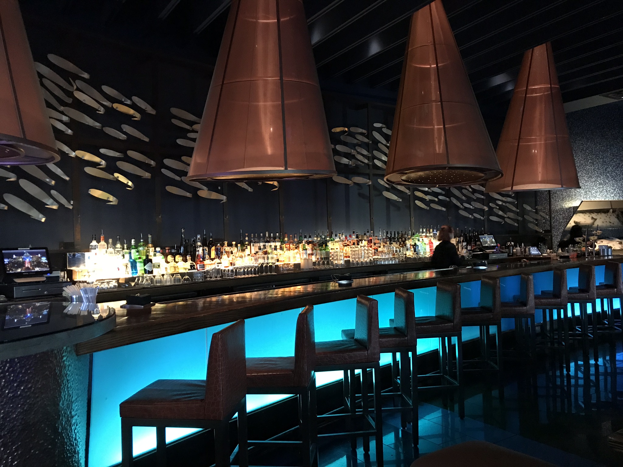 bar at bluezoo at disney dolphin resort