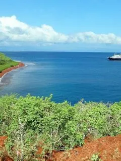 cruise boat on water in galapagos islands