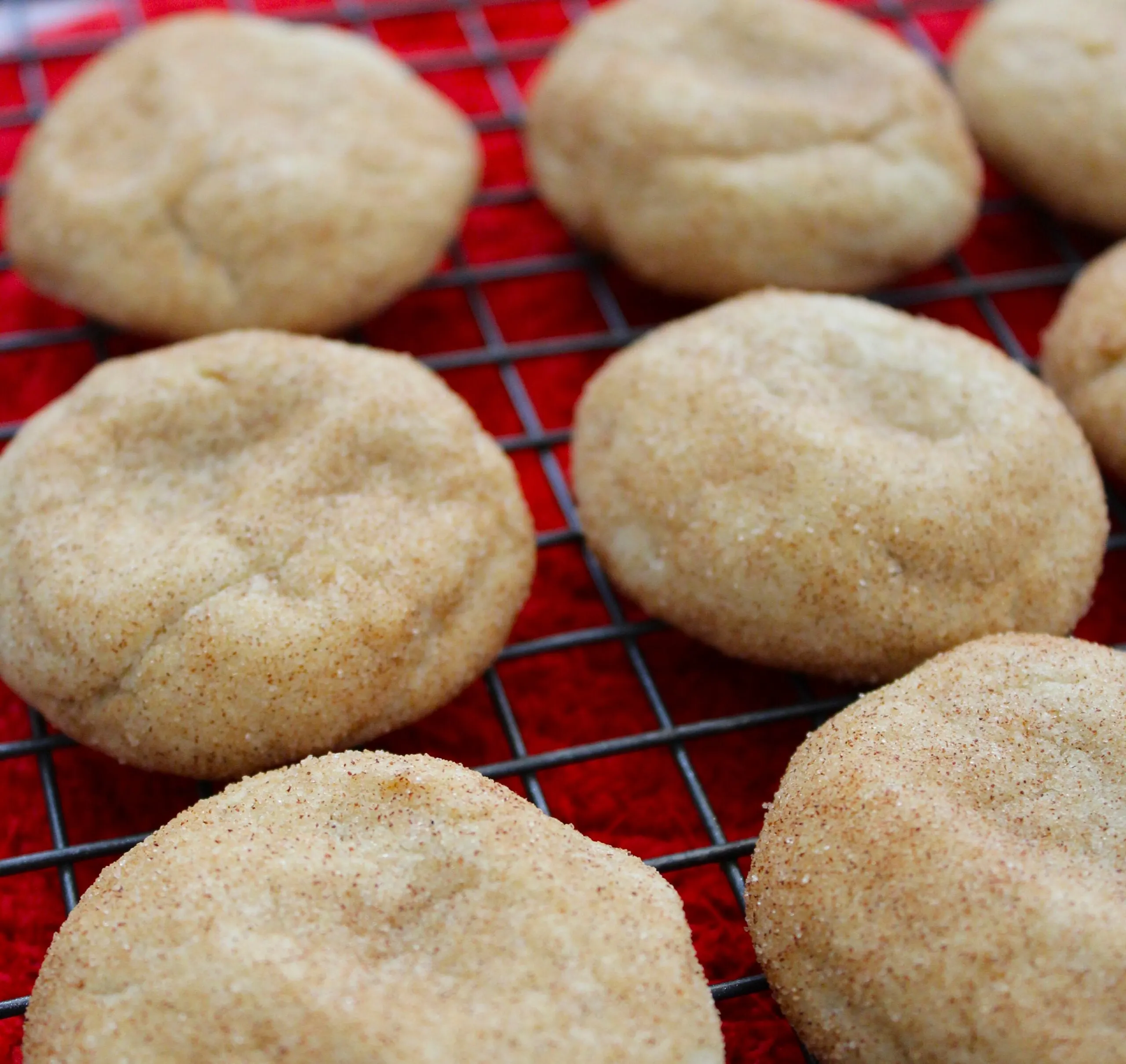cookie recipe without butter snickerdoodles