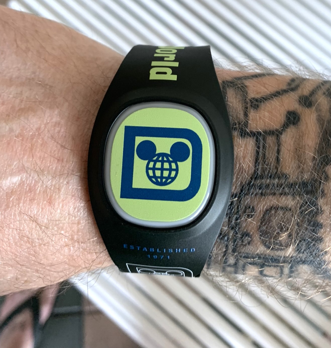 Disney Magic Bands Ultimate Guide - The Frugal South