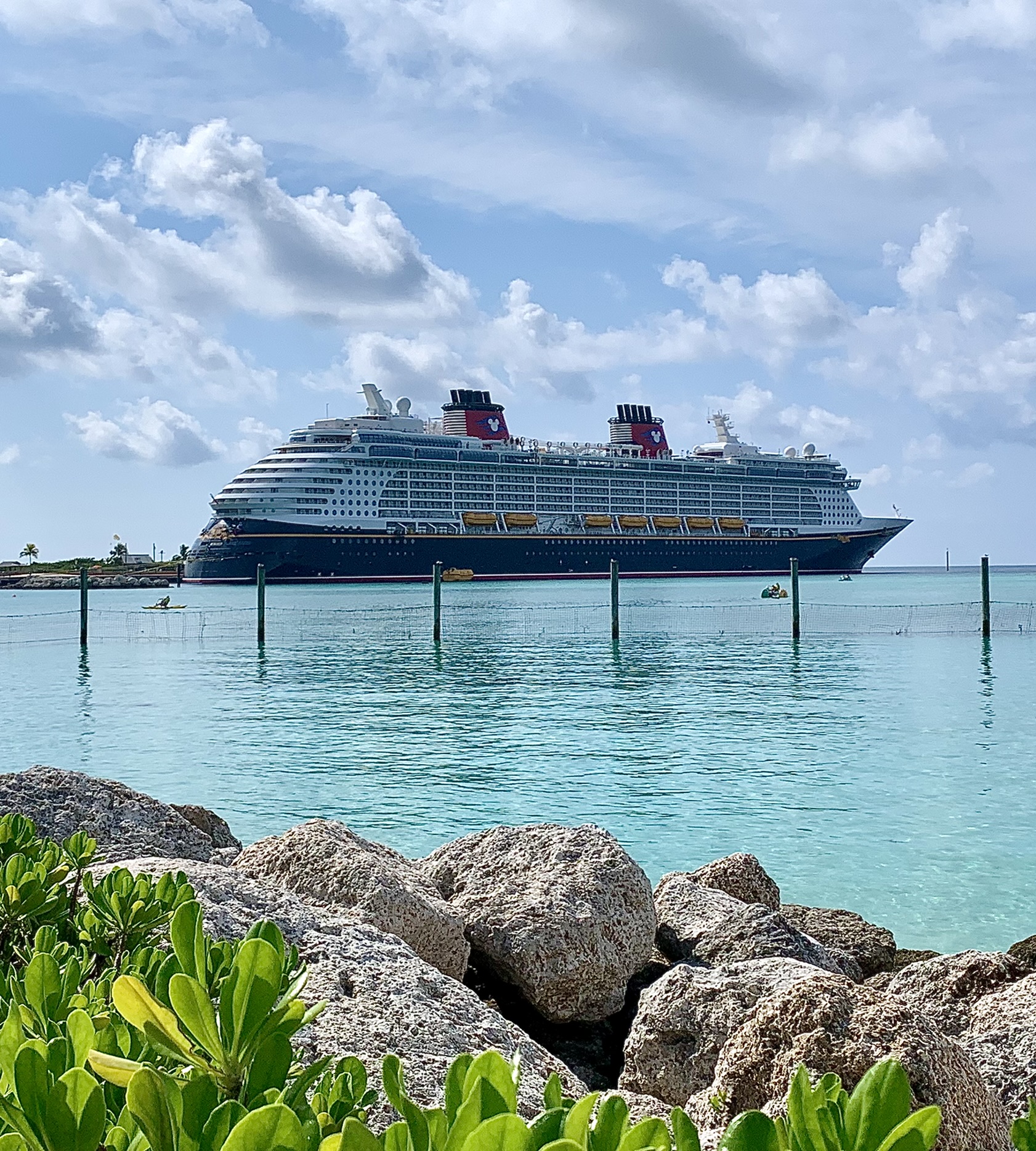 disney cruise line magic bands