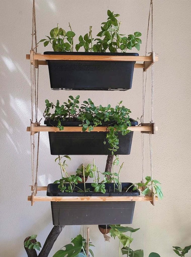 DIY Hanging Herb Garden