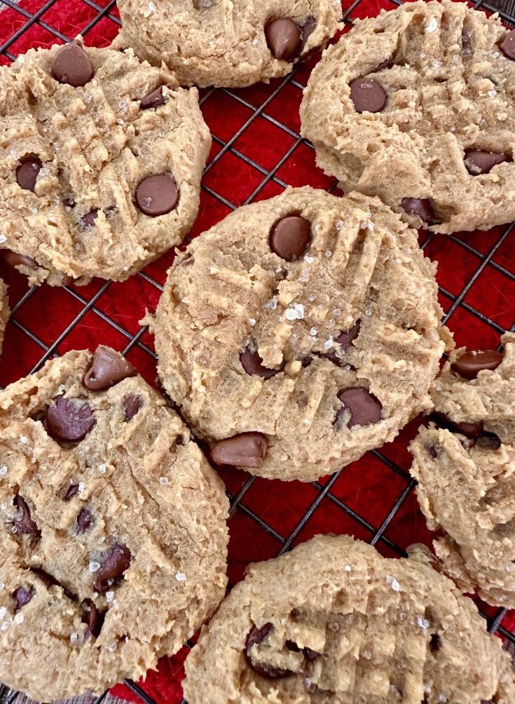 healthy protein cookies